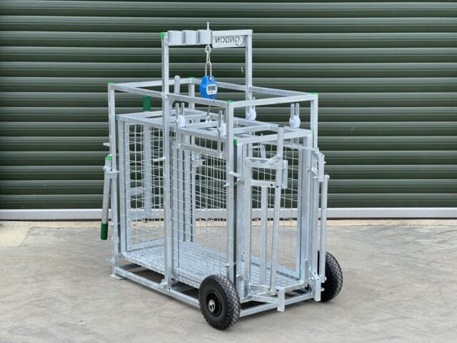 CONDON ENGINEERING LAMB WEIGHNG CRATE