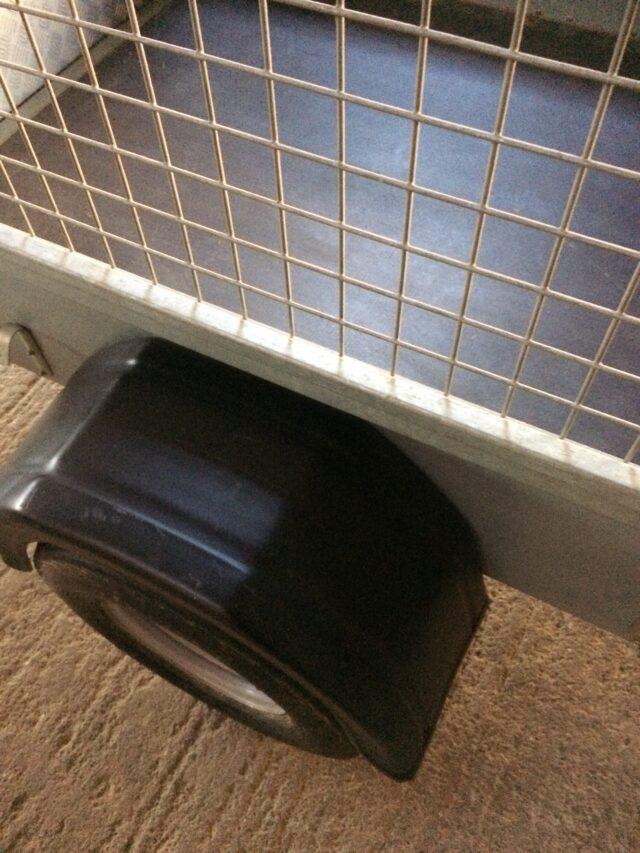 Ifor Williams