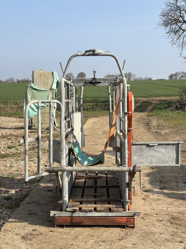 Ritchie Cattle Crush