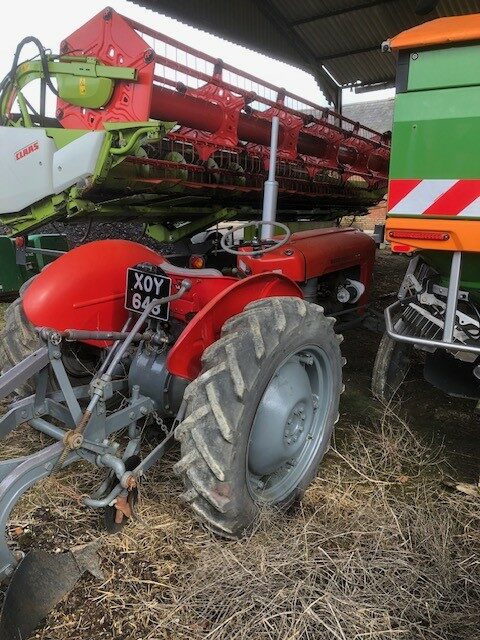 AM000734 1959 MF35 2WD TRACTOR