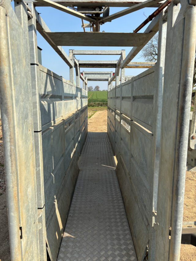 Ritchie Mobile Cattle Crush