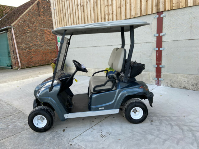 Star Sirius 2 80AH Electric Golf Buggy For Sale