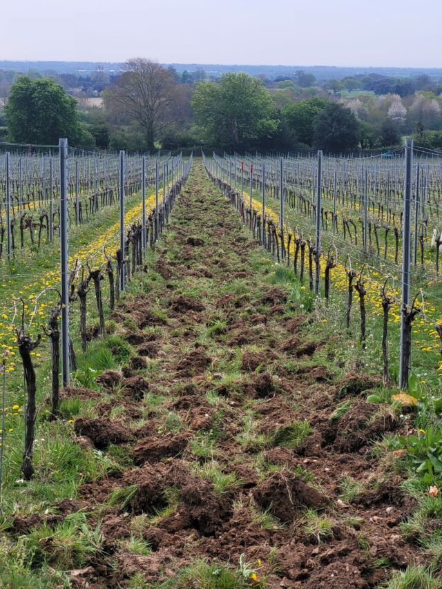 RemacSystem Soil Loosener 1.5mt