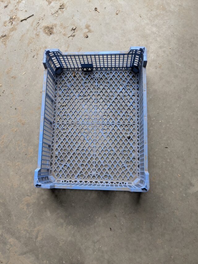 Mushroom tray