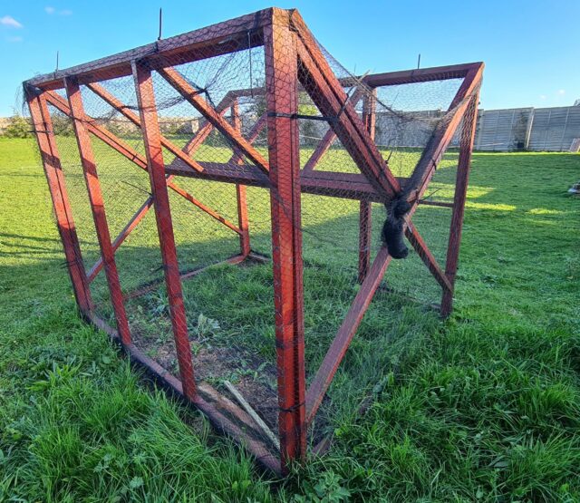 Crow Magpie Larsen Trap