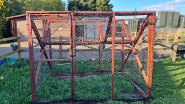 Crow Magpie Larsen Trap