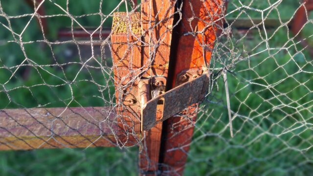 Crow Magpie Larsen Trap