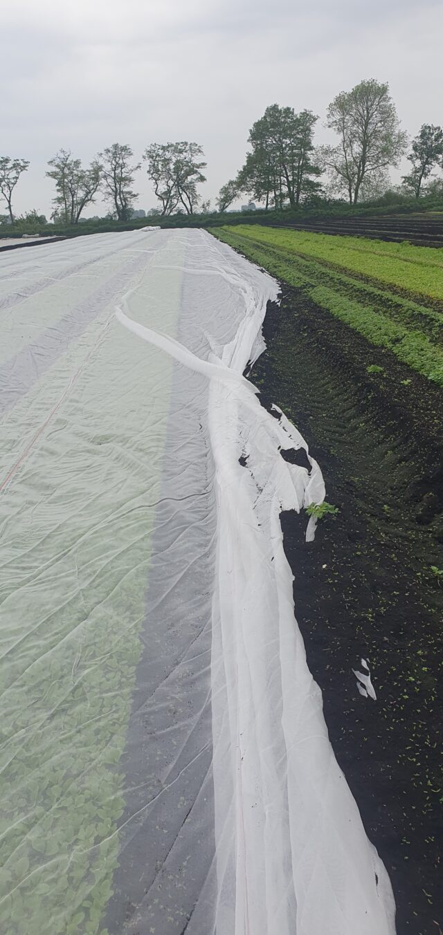 Crop cover enviro mesh