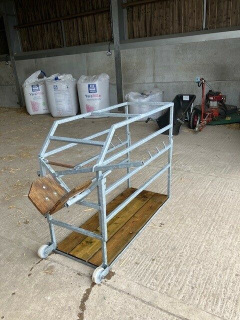 Symms Calf Dehorning Crate