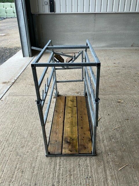 Symms Calf Dehorning Crate