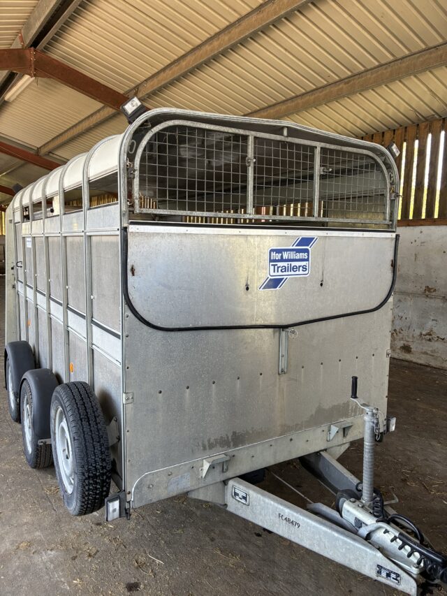 Ifor Williams livestock trailer