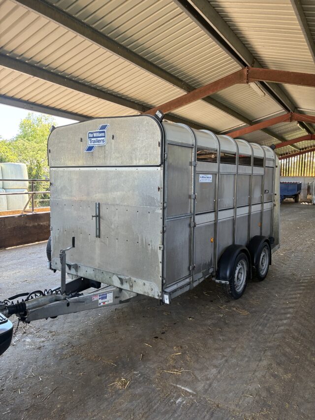 Ifor Williams livestock trailer