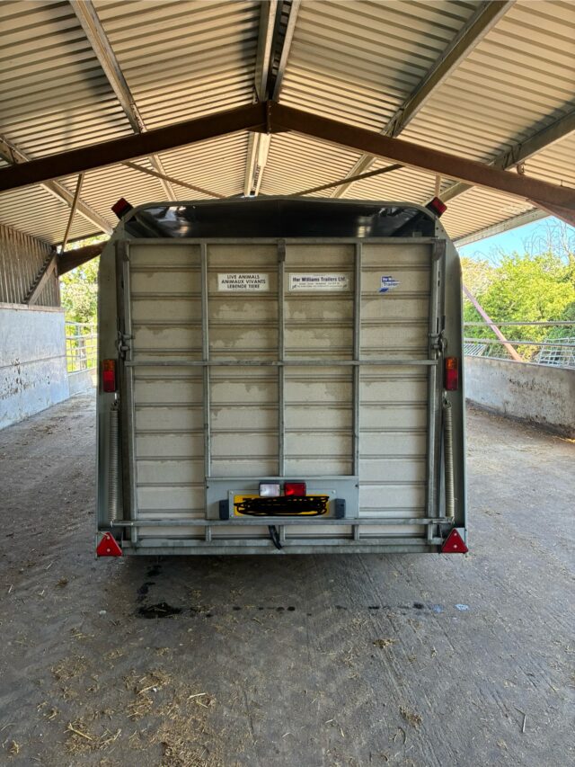 Ifor Williams livestock trailer