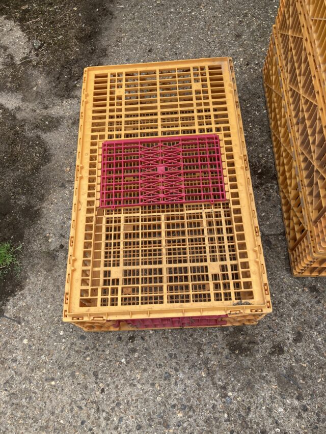 Poultry Transport Crates x 6