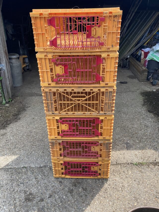Poultry Transport Crates x 6