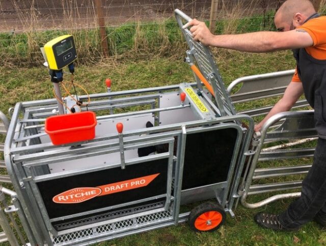 Ritchie Draft Pro