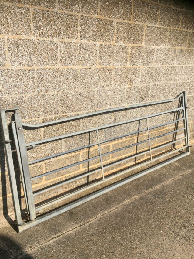 Sheep handling