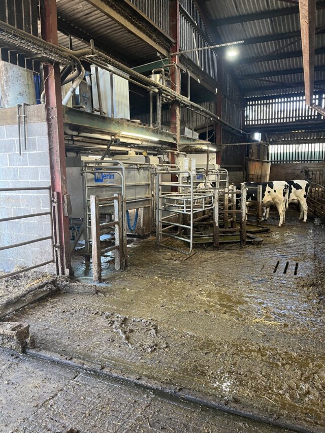 Full robotic milking system for 200 cows