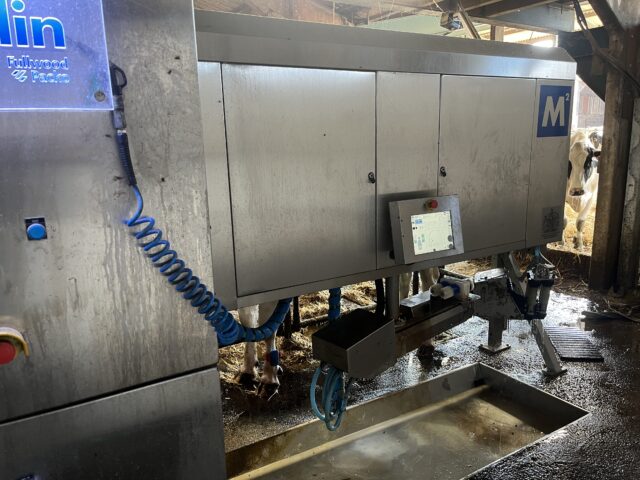 Full robotic milking system for 200 cows
