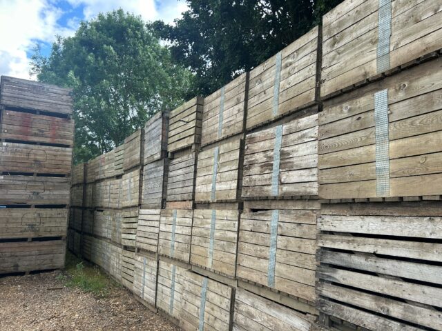 1 Tonne Potato box’s