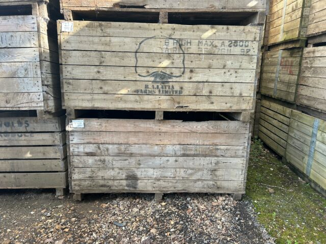 1 Tonne Potato box’s