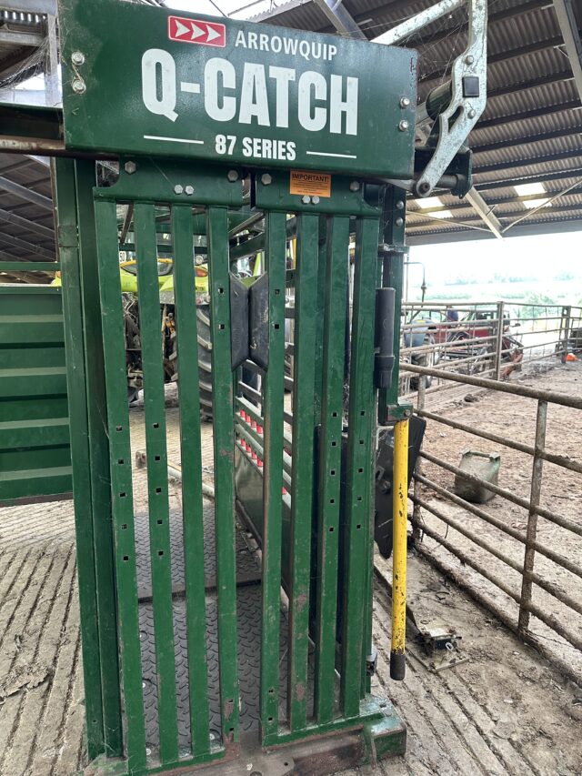 Cattle crush