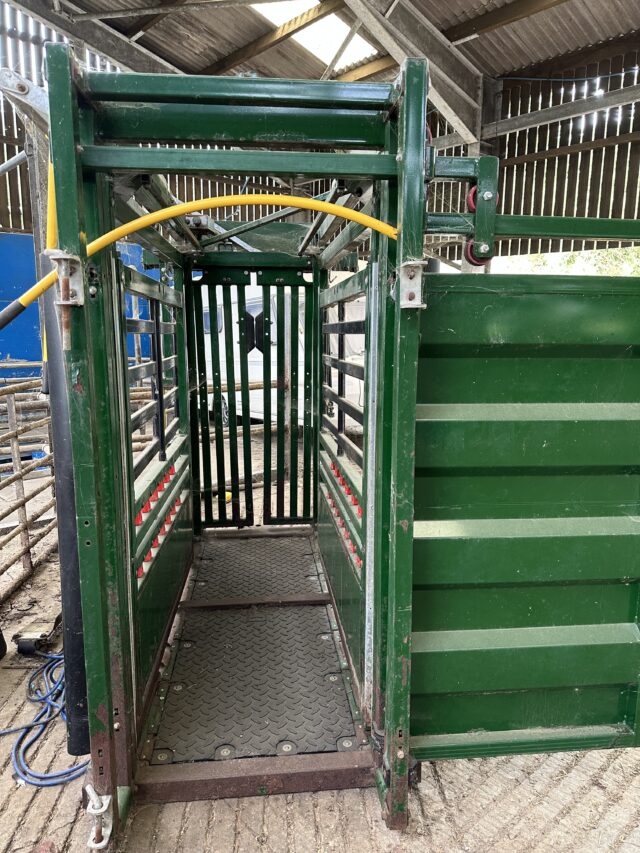 Cattle crush