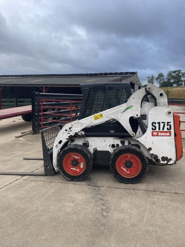 Bobcat skid steer s175