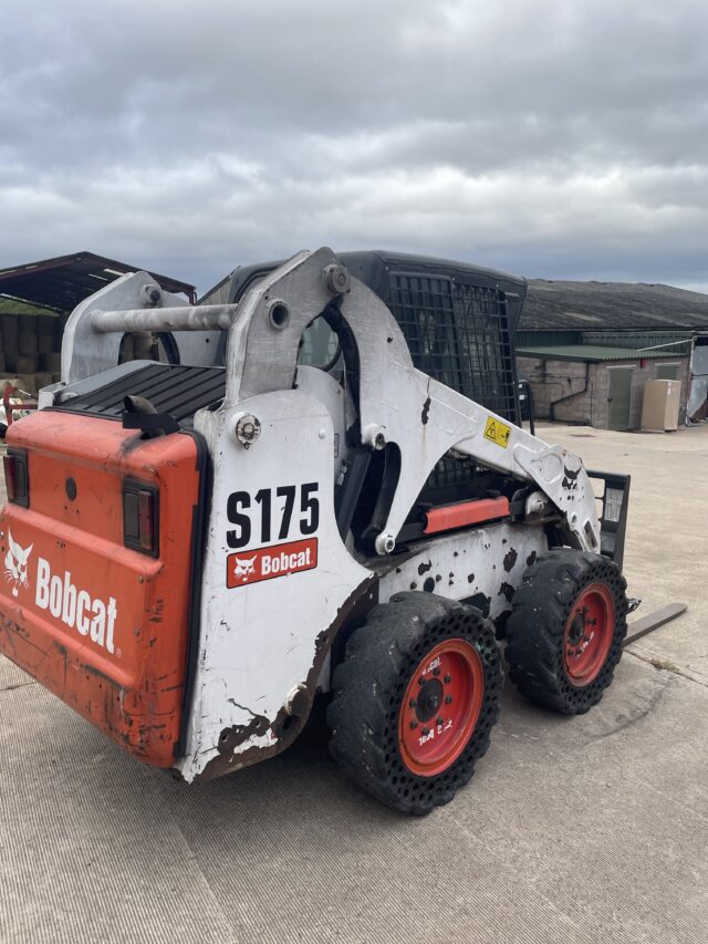 Bobcat skid steer s175