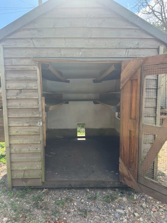 Domestic Wooden Chicken Coop Shed