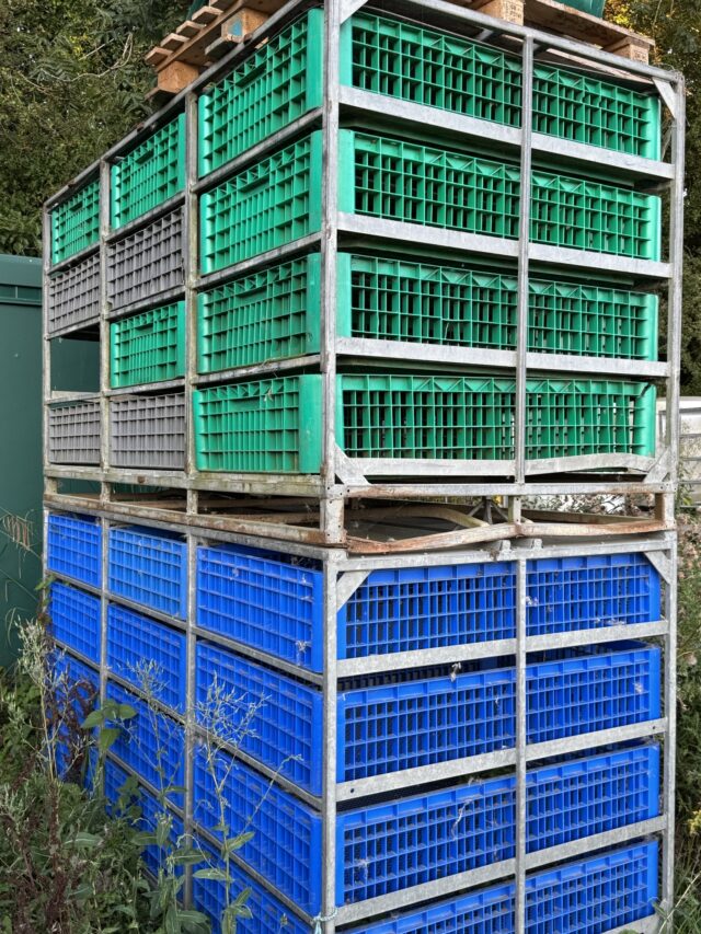 Chicken catching crates