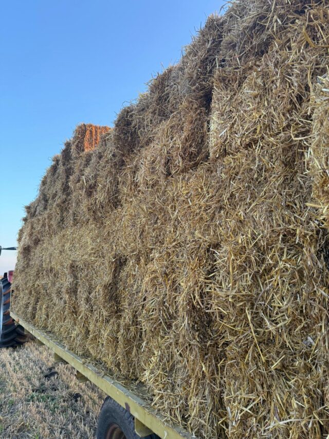 Straw bales