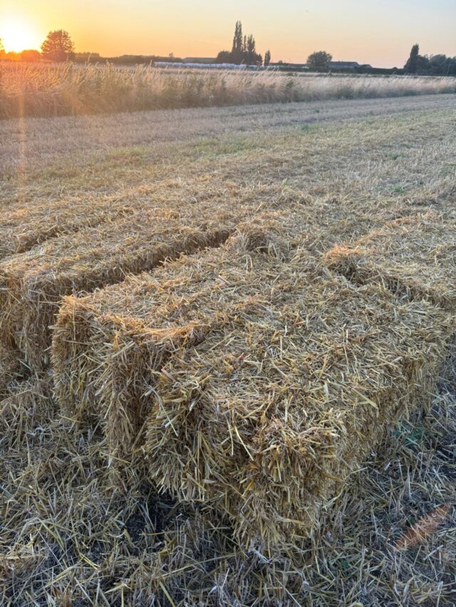Straw bales