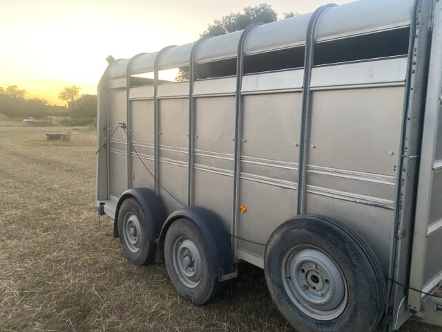 ifor williams livestock trailer