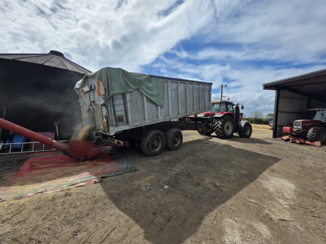 17 tonne Aluminium Grain trailer