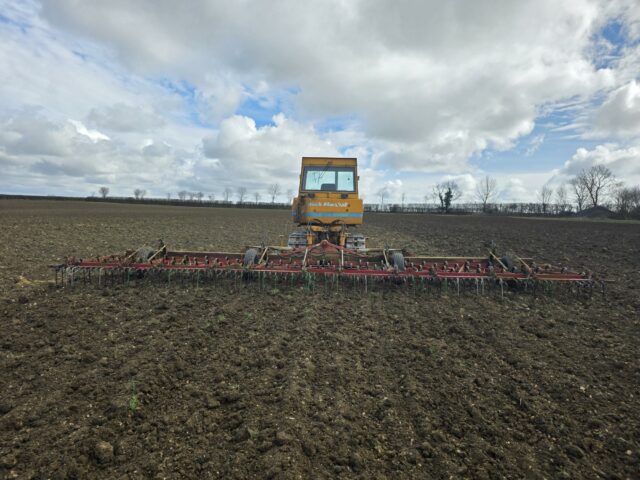 KONGSKLIDE 9METER SPRINGTINES