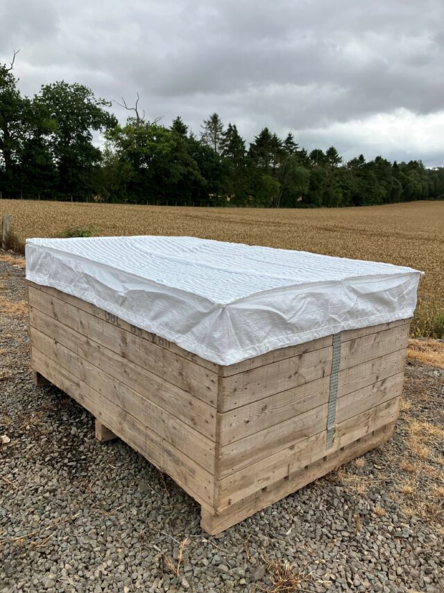 Potato Box Bags