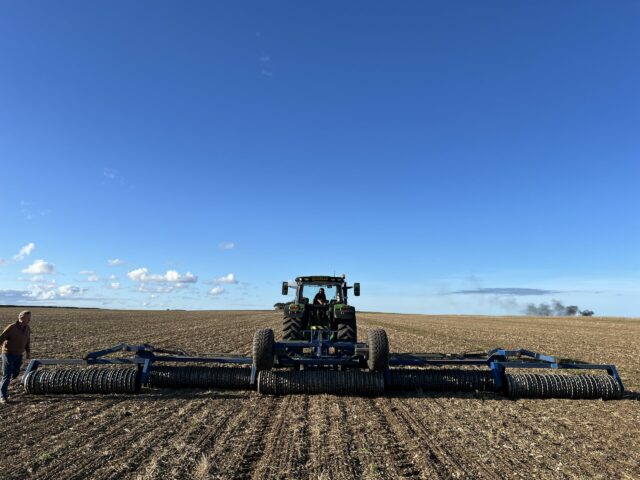 DALBO 12M ROLLERS