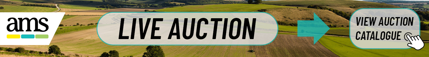 AMS Auctions live auction 23rd September