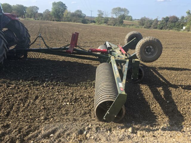 NRH 6.3M cambridge rolls