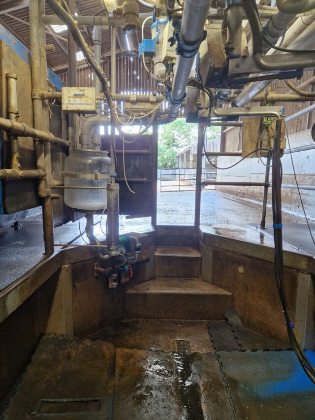 Dairy Master parlour
