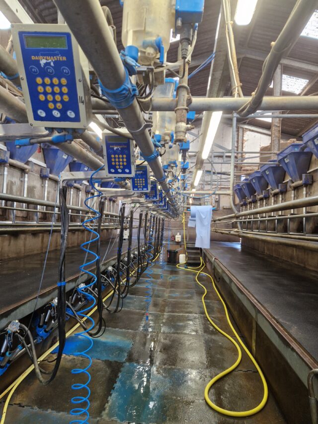 Dairy Master parlour