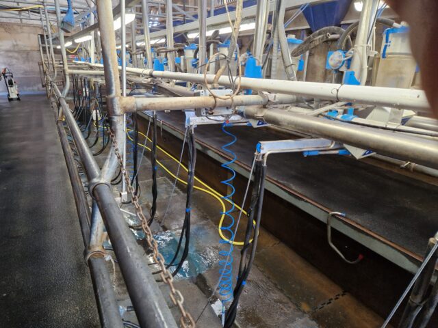 Dairy Master parlour