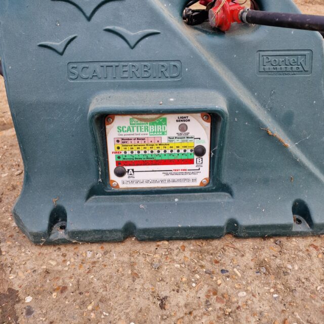 Bird Scarer