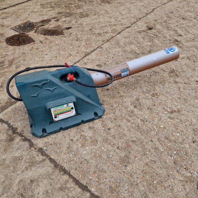 Bird Scarer