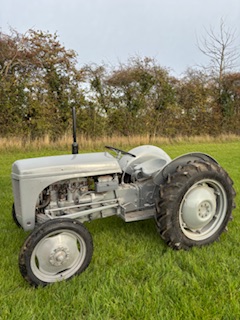 Grey Ferguson te20