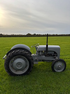 Grey Ferguson te20