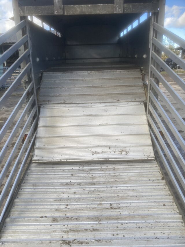 Ifor Williams cattle/sheep trailer