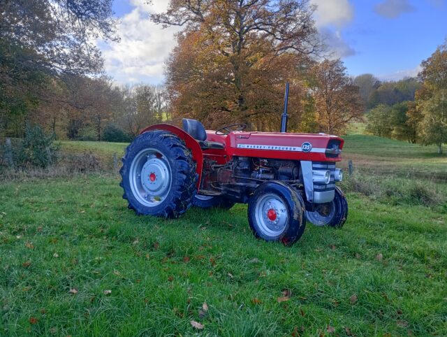 Massey Ferguson 135