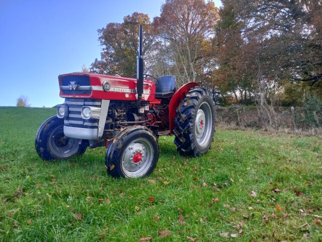 Massey Ferguson 135